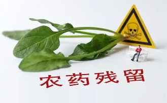 農(nóng)藥殘留檢測(cè)儀：公共健康危機(jī)的“預(yù)警系統(tǒng)”