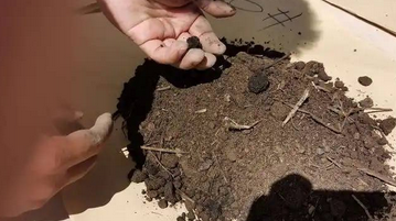 土壤檢測儀器：現代農業的得力助手